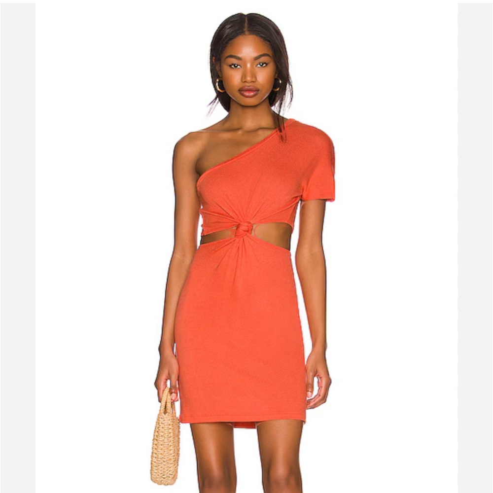 LNA One Shoulder Rogue Dress in Emberglow Size S - worn once perfect condition